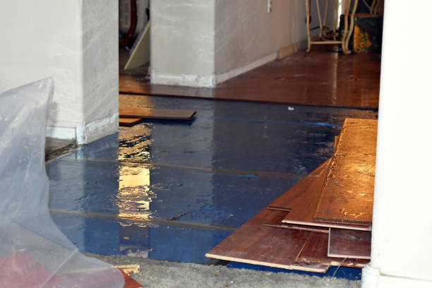 Professional Burst Pipe Cleanup technician working in Brule, WI